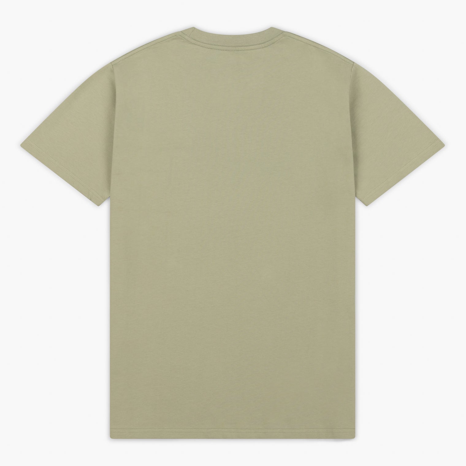 Anjuna Staple Tee / Pistachio (Summer 2025)