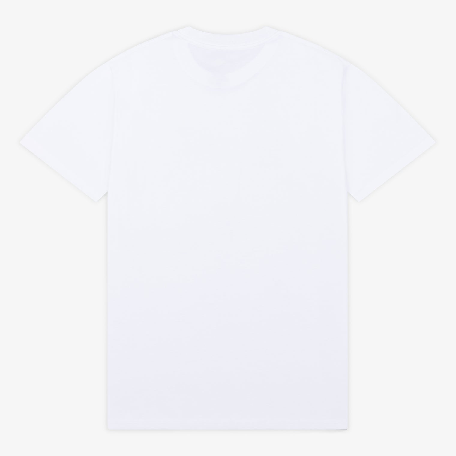 Anjuna Staple Tee / White (Summer 2025)