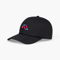 Anjunafamily Dad Hat